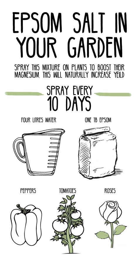 Epsom Salt For Plants - How it Can Benefit Your Garden - Todd's Seeds