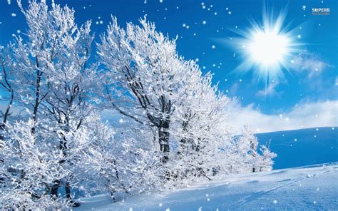 Psalm 43 King James Version (KJV) | Winter background, Winter pictures ...