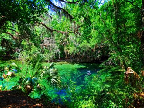 Blue Springs State Park: the most beautiful spot in Florida