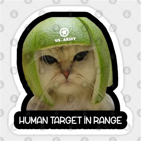 Limecat - funny lime cat meme - Limecat - Sticker | TeePublic