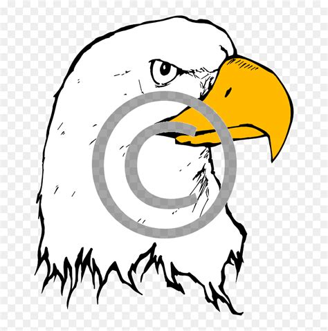 Cartoon Eagle Black And White, HD Png Download - vhv