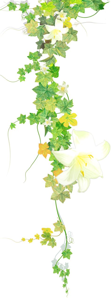 Vines And Flowers Png at Raymond Haynes blog