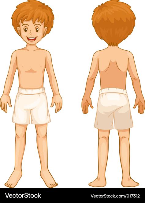 Boy body parts Royalty Free Vector Image - VectorStock