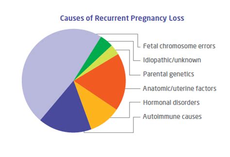 Recurrent Pregnancy Loss Clinic