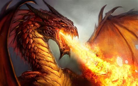 Fire breathing Dragon wallpaper | 1920x1200 | #10444