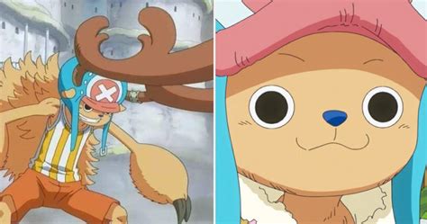 One Piece: 10 Weird Things You Never Knew About Chopper