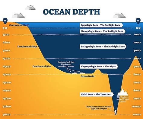 Four Major Ocean Zones