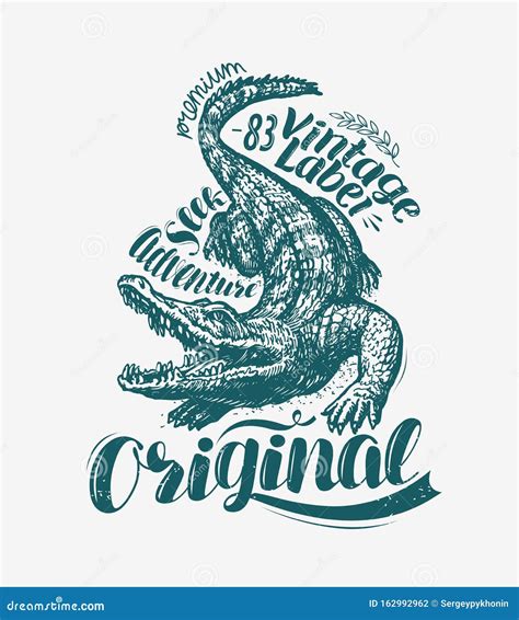 Crocodile T-shirt Design. Alligator Drawn Vintage Vector Illustration ...