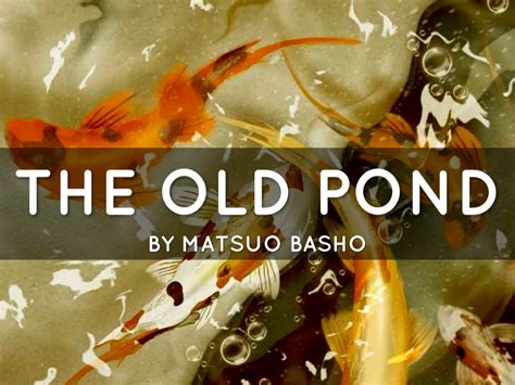 The Old Pond- Haiku by Alexis Ro