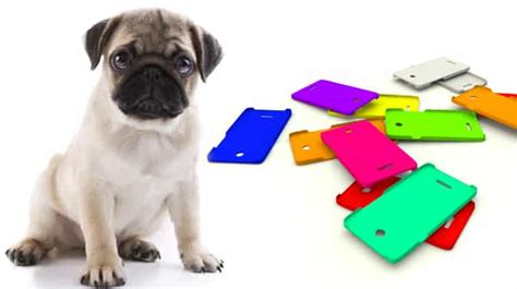 Pug Cell Phone Case Covers for iPhone & Samsung