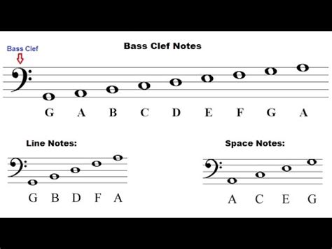 Treble and Bass Clef Notes Explained: What Are Clefs in Music?