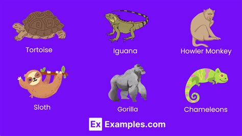 100+ Herbivorous Animal Names: Meaning, Types, PDF