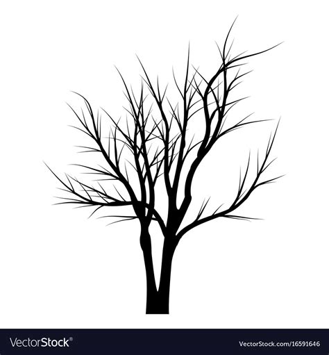 Trees with dead branches Royalty Free Vector Image