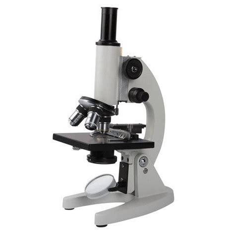 Lab Microscope, For Laboratory, Halogen at Rs 22000 in Ahmedabad | ID ...