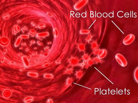 Sante Pure Barley: Blood Platelets