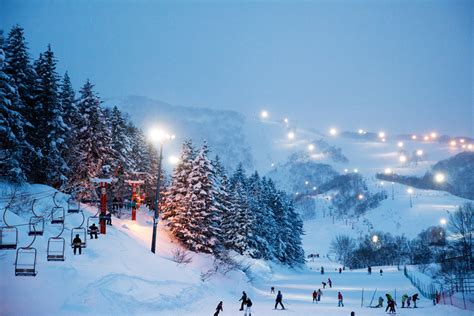 Visit Niseko | Home To The World's Best Powder | Niseko.com