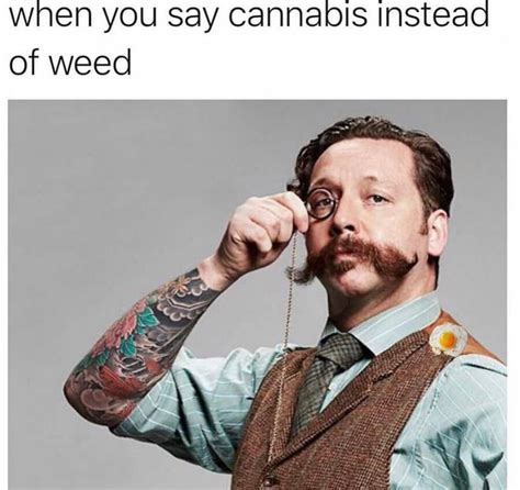 List 4 funny weed memes best, you should know - SESO OPEN