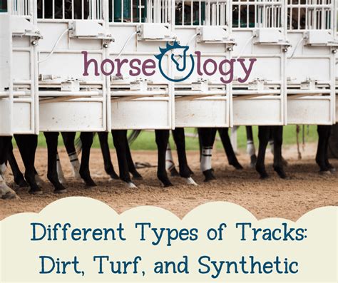 Racetracks: What Tracks do Horses Run On?