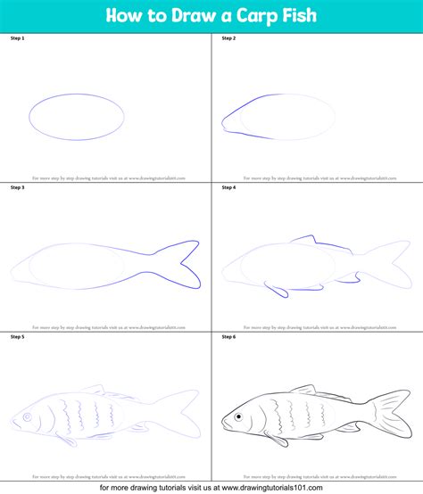 How to Draw a Carp Fish printable step by step drawing sheet ...