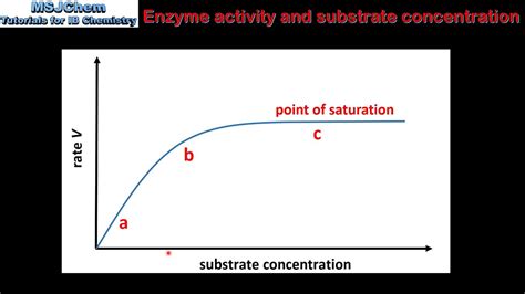 Enzyme Substrate Graph