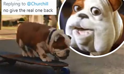 What Does The Churchill Dog Say