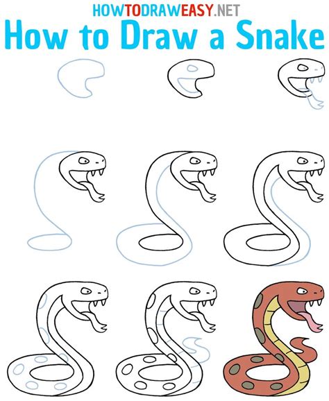 How to Draw a Snake Step by Step | Snake drawing, Step by step drawing ...