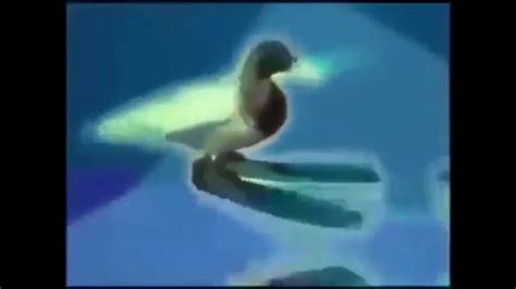 hungarian spinning duck meme - YouTube