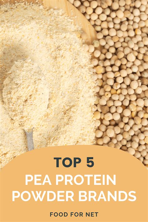 5 Best Pea Protein Powder Brands | Food For Net