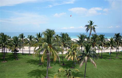 Lummus Park Beach in Miami Beach | Tips Trip Florida