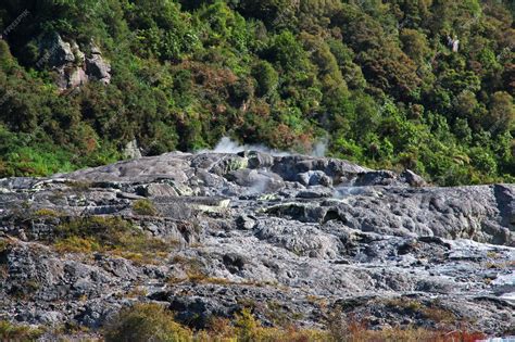 Premium Photo | Thermal Park in Rotorua, New Zealand