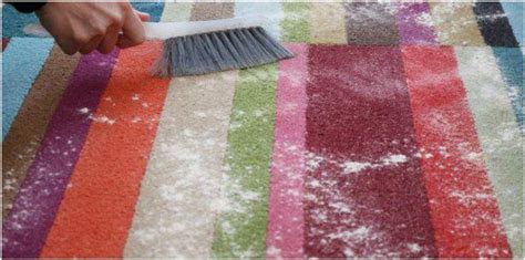 Homemade Carpet Cleaning Recipes To Try Now - World inside pictures