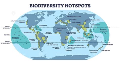 Biodiversity hotspots with life species variety on world map outline ...