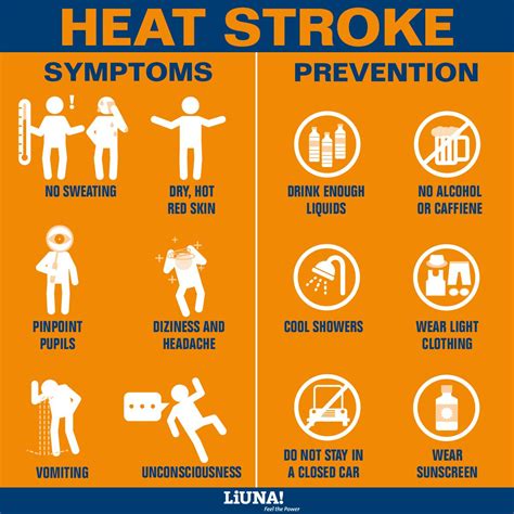 HEAT SAFETY TIPS – LOCAL 1001 NEWS