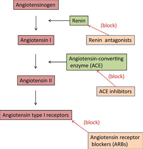 Oral renin inhibitors in clinical practice: a perspective review - Luca ...