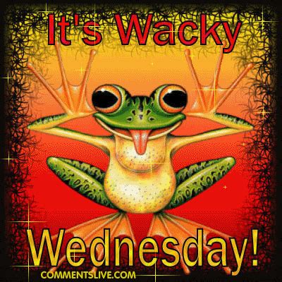 Wacky Wednesday Quotes. QuotesGram