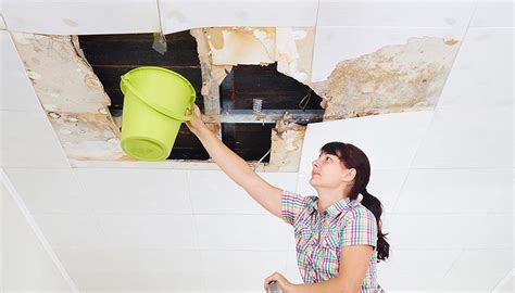 What Does a Water Damage Restoration Company Do? - FirstCall