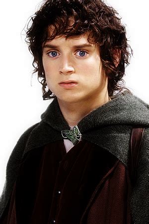 Frodo Baggins | Peter Jackson's LOTR Wiki | Fandom