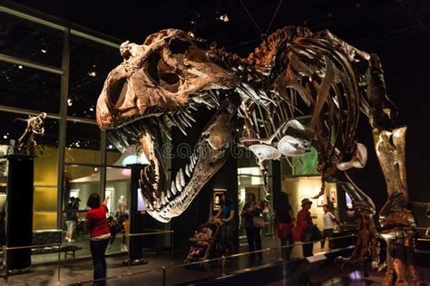 Dinosaur Exhibits at Royal Tyrrell Museum in Drumheller, Canada ...