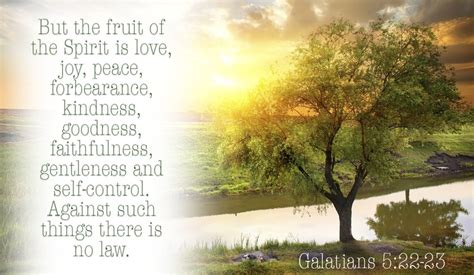 12 Top Bible Verses About the Fruit of the Spirit - Inspiring Scripture