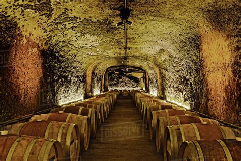 Wine barrels in cave cellar - Stock Photo - Dissolve