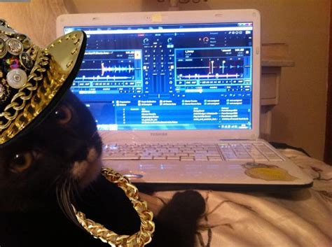 DJ Cat Bling Blank Template - Imgflip