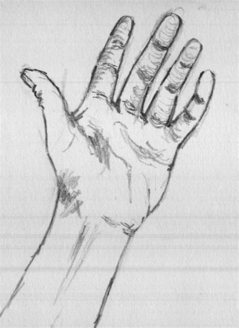 left hand - pencil drawings | sketches | artwork