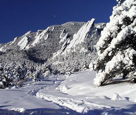 12 best Colorado Winter Scenes images on Pinterest | Winter scenes ...