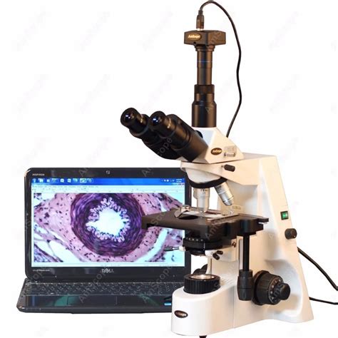 Research-Compound-Microscope-AmScope-Supplies-40X-2500X-Infinity-Plan ...