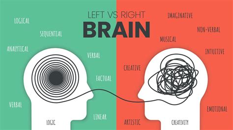 Left Brain vs. Right Brain Dominance infographic template. How the ...