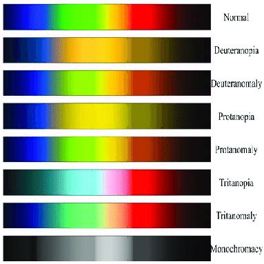 Year Coherent Do tritanopia color blindness plug tube Tariff