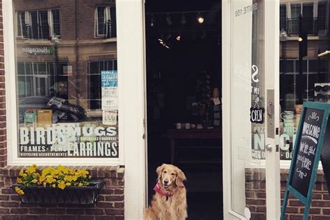 Dog Friendly Activities in Carmel, IN - BringFido