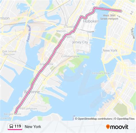 119 Route: Schedules, Stops & Maps - New York (Updated)