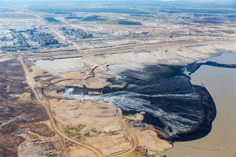 Plants could help clean up Alberta’s oilsands tailings ponds | The Narwhal