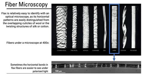 What Does Wool Look Like Under a Microscope? Unlock the Secrets of this ...